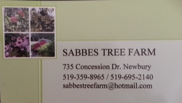 Sabbes Tree Farm